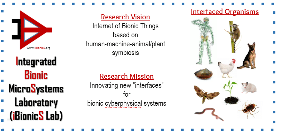 Research Vision