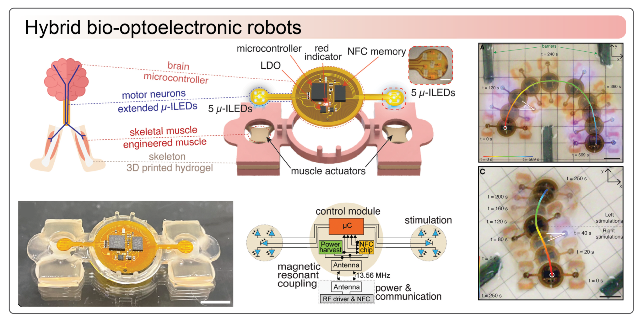 Research Vazquez Research Group