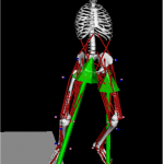 Figure 1 - Vicon date modeled in OpenSim