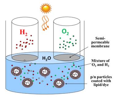 Figure 1: Schematic diagram of the proposed solar hydrogen generator.